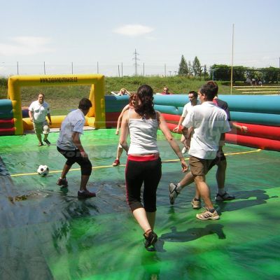 Futbalové ihrisko/hokejové ihrisko/vodný futbal