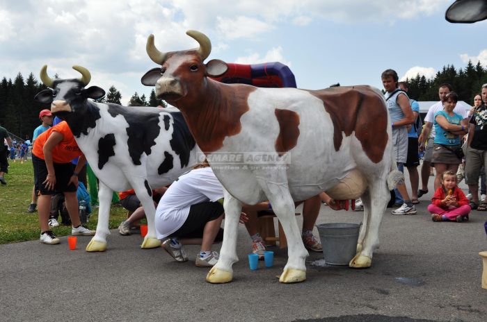 Simulátor dojenie krávy
