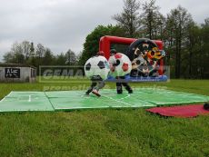Futbalové sumo