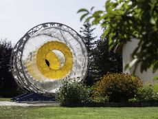 hamster-wheel-prenajom