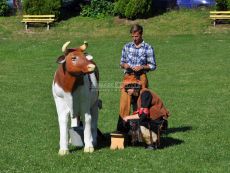 Simulátor dojenie krávy