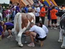 Simulátor dojenie krávy