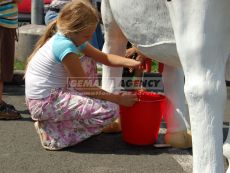 Simulátor dojenie krávy