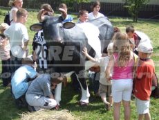 Simulátor dojenie krávy