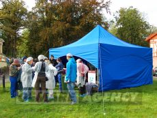 Pagoda light - prenájom