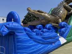 prenájom šmykľavka krokodíl