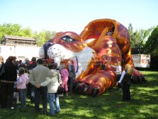 Nafukovacia šmýkačka Tiger