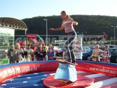 Simulátor Snowboard / Surf 