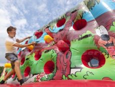 Wipe out - boxovací zeď